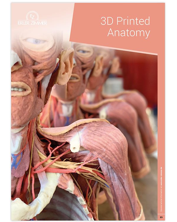 3D Printed Anatomy Series Catalog